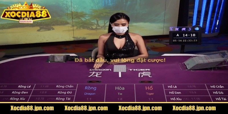 Làm quen với các bước đặt cược cơ bản