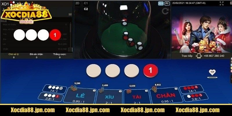 Một ván xóc đĩa luôn sử dụng đúng bốn đồng xu